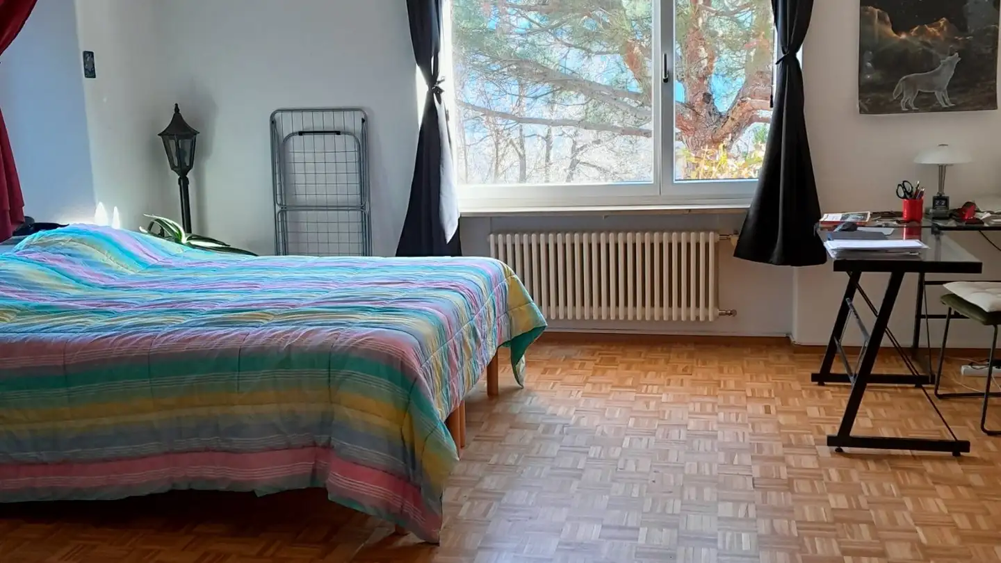 Appartamento in affitto - Via Fontanelle 6, 6914 Carona