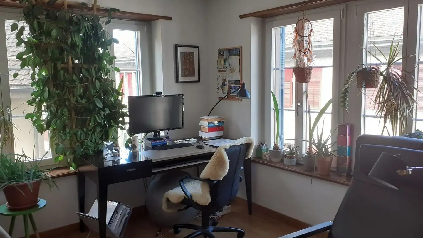 Appartement à louer - Seestrasse 162, 8810 Horgen