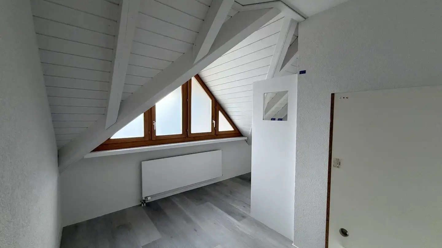 Commercial à louer - Herblingerstrasse 119, 8207 Schaffhausen - Photo 4