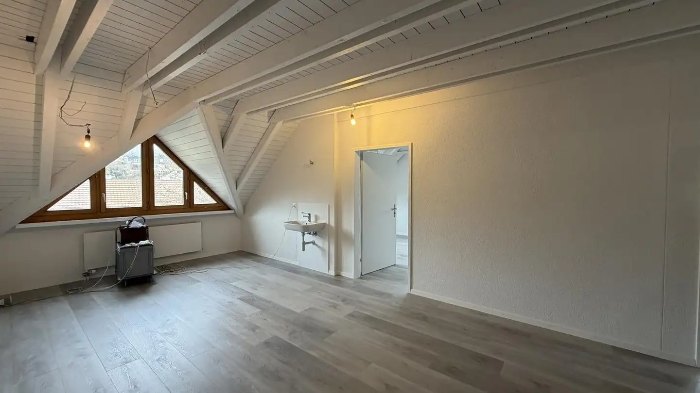 Commercial à louer - Herblingerstrasse 119, 8207 Schaffhausen
