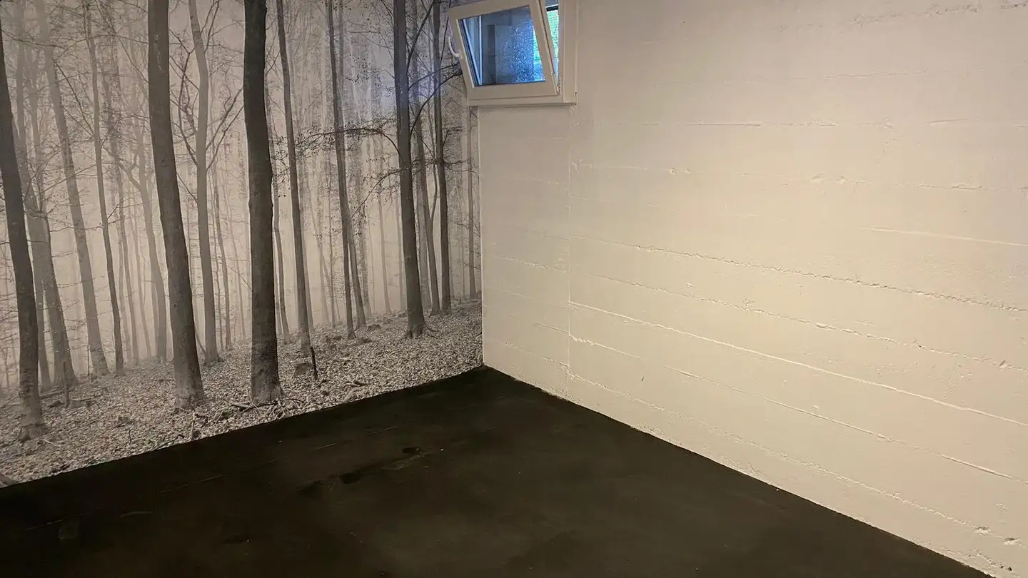 Hobby room for rent - Baslerstrasse 18, 4665 Oftringen - Photo 2