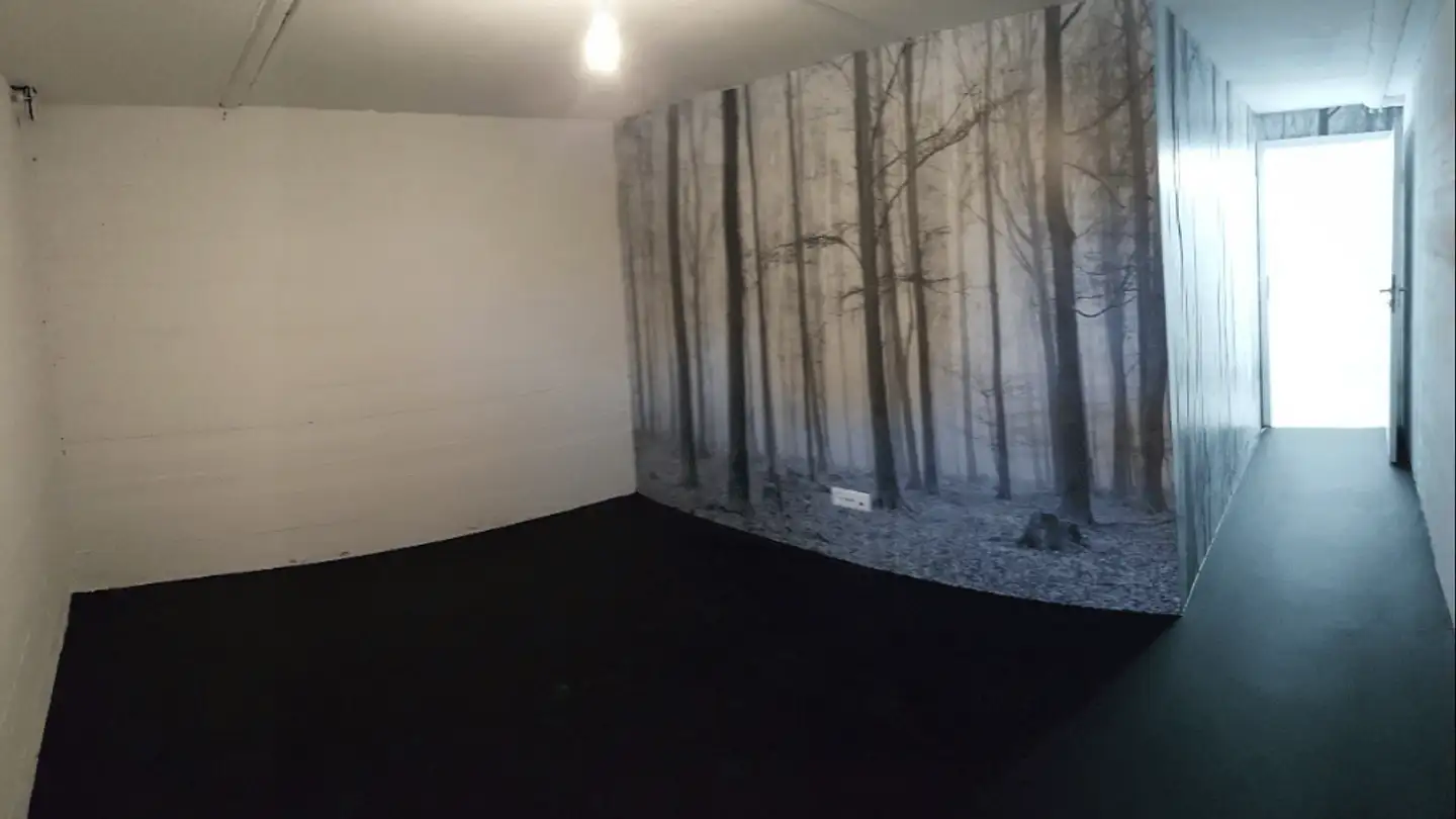 Hobby room for rent - Baslerstrasse 18, 4665 Oftringen - Photo 4