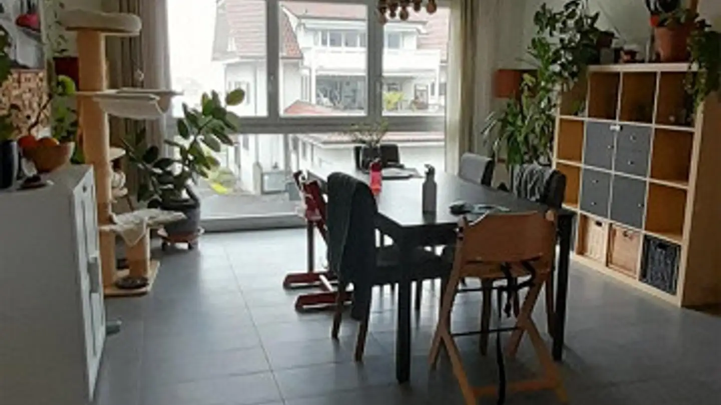Appartamento in affitto - Rösslimatte 8, 6207 Nottwil