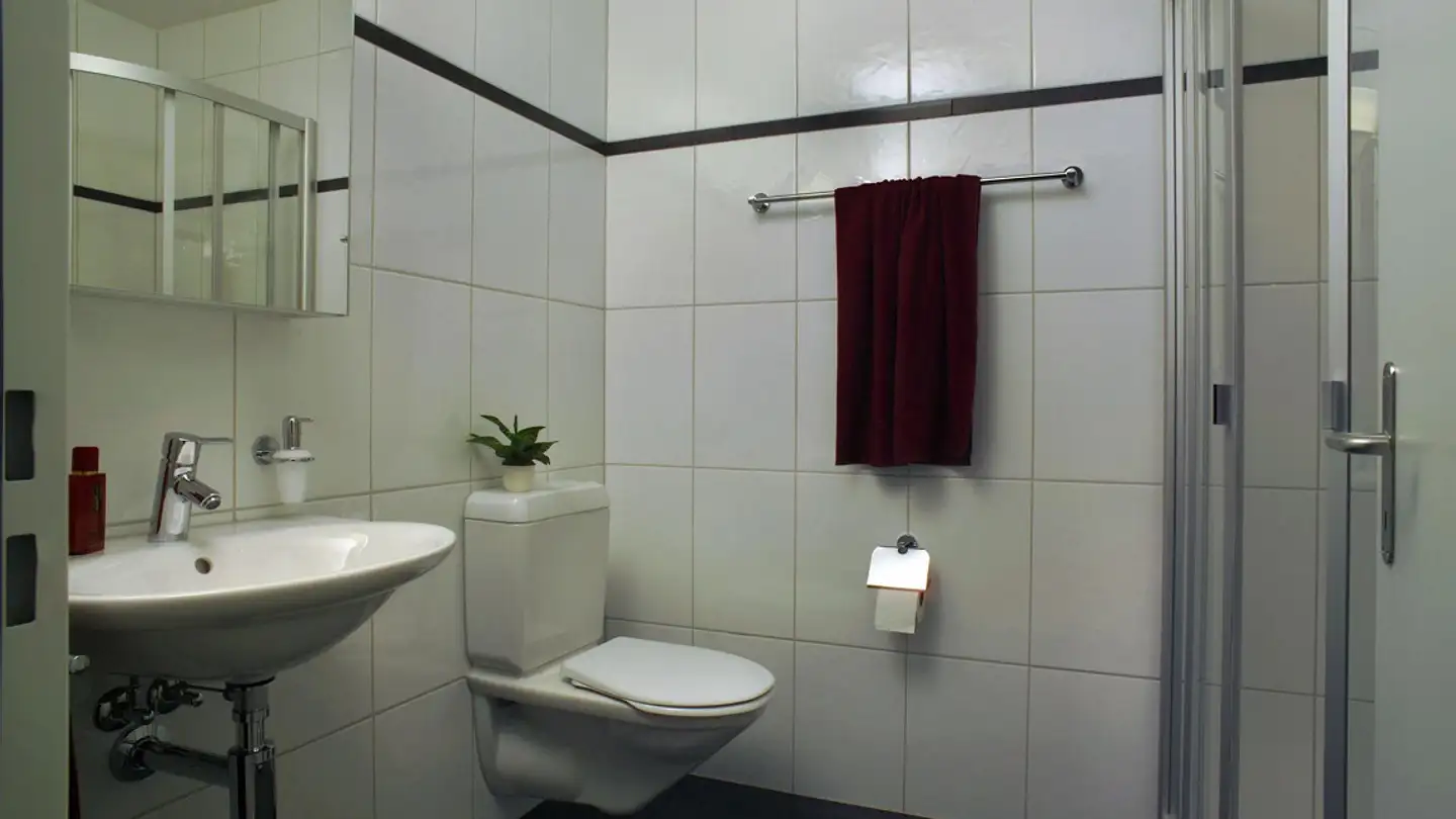 Wohnung mieten - 6300 Zug - Foto 4