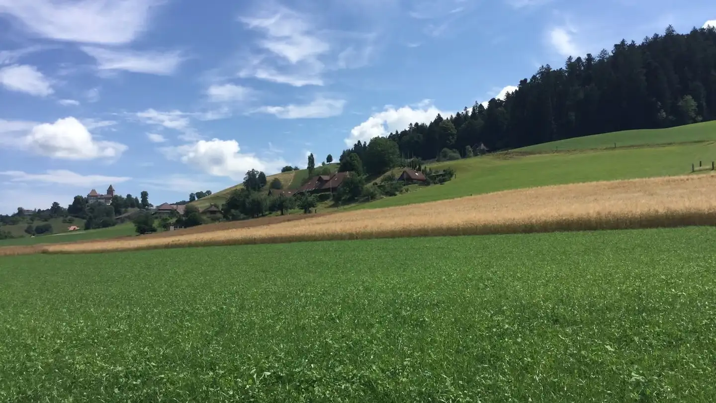 Duplex for rent - Eichli 1252, 3452 Grünenmatt