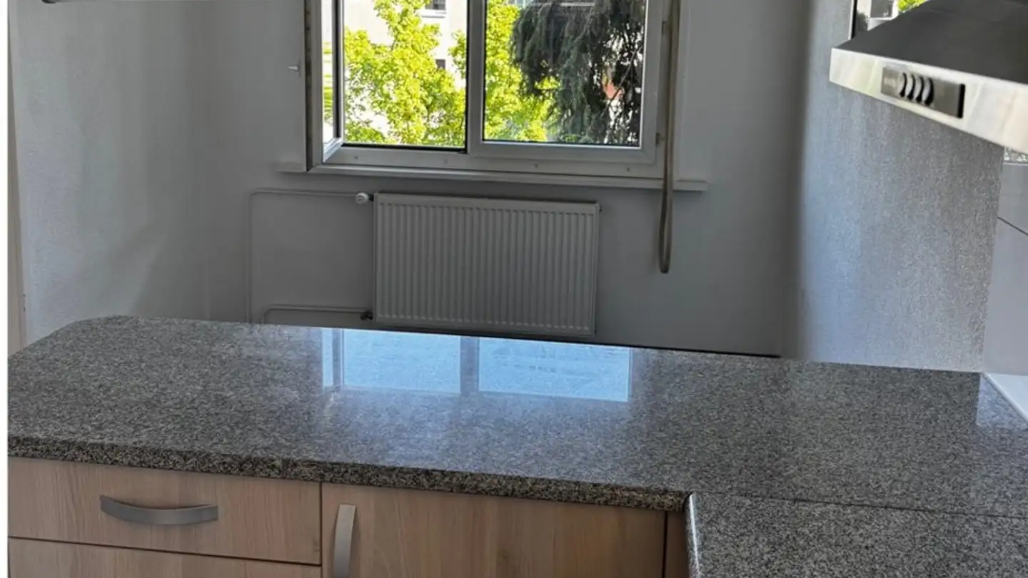 Appartamento in affitto - Holzmoosrütistrasse 44a, 8820 Wädenswil - Photo 3