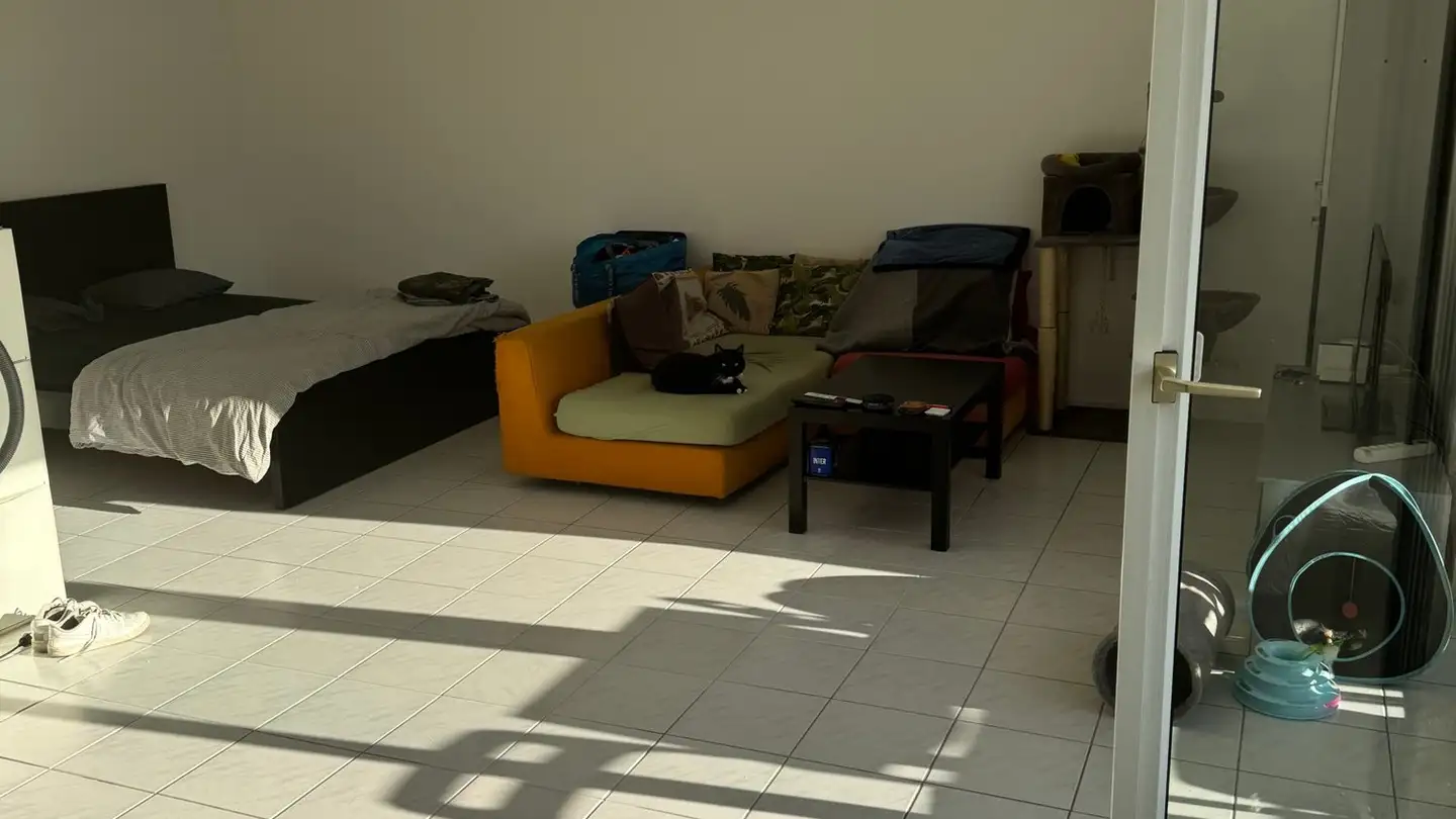 Appartamento in affitto - Via Ai Saleggi 46, 6600 Locarno - Foto 2