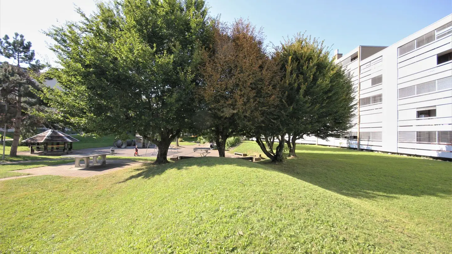 Appartamento in affitto - Staufbergstrasse 14, 5702 Niederlenz - Foto 4