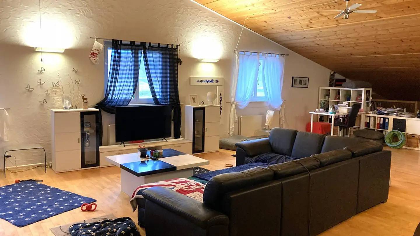 Loft in affitto - Schützenhölzlistrasse 20, 4303 Kaiseraugst - Foto 3