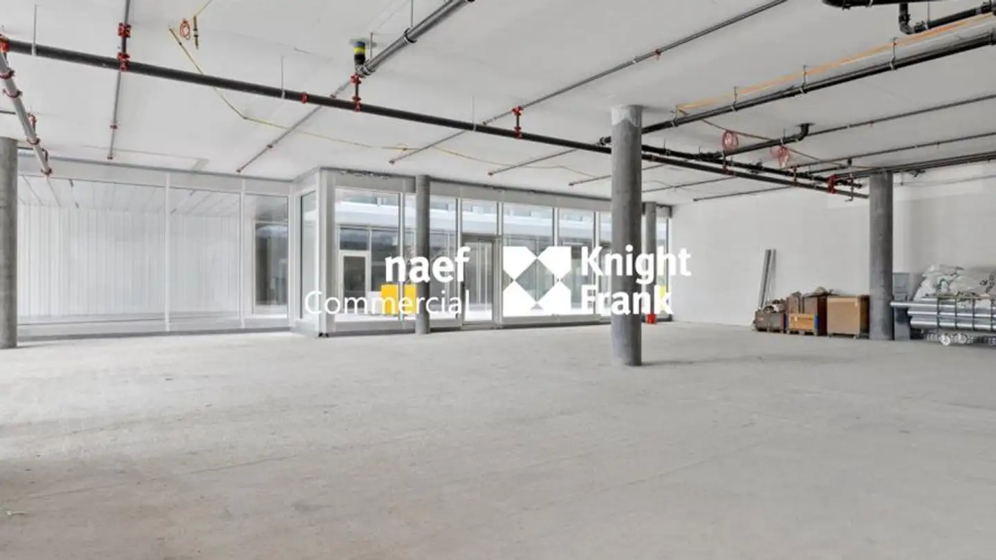 Magasin à louer - Route De La Galaise 32, 1228 Plan-les-Ouates