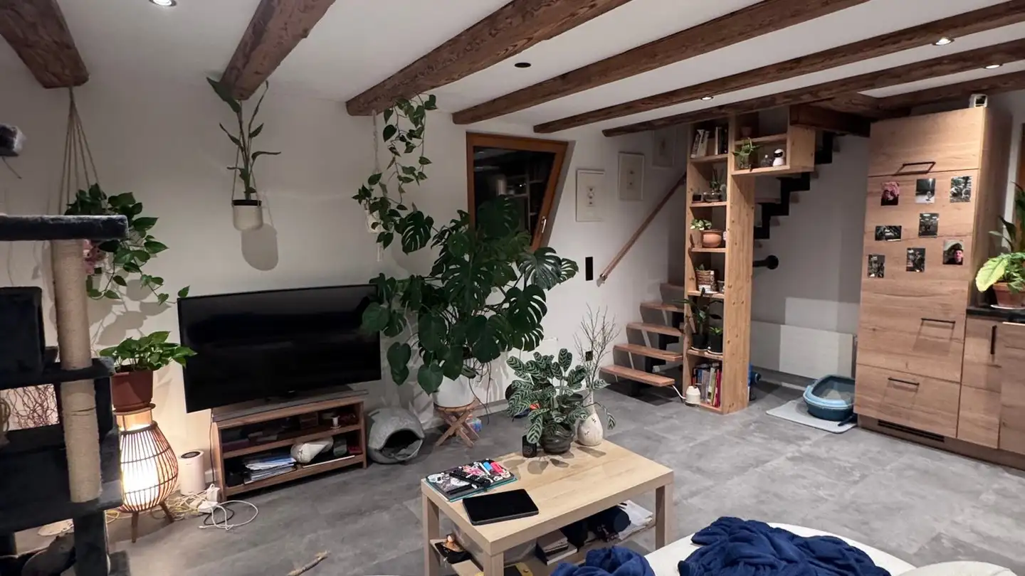 Appartamento in affitto - Böllerain 15, 8106 Adlikon b. Regensdorf