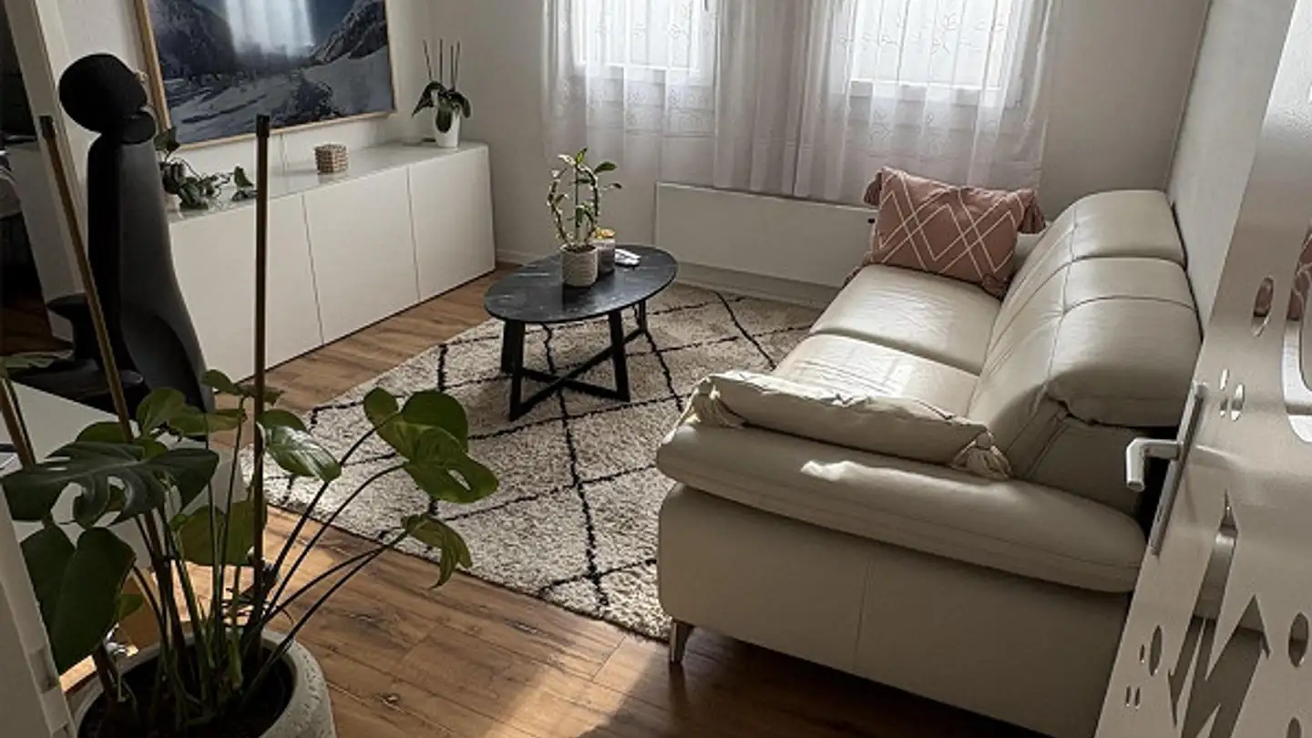 Appartamento in affitto - 6340 Baar