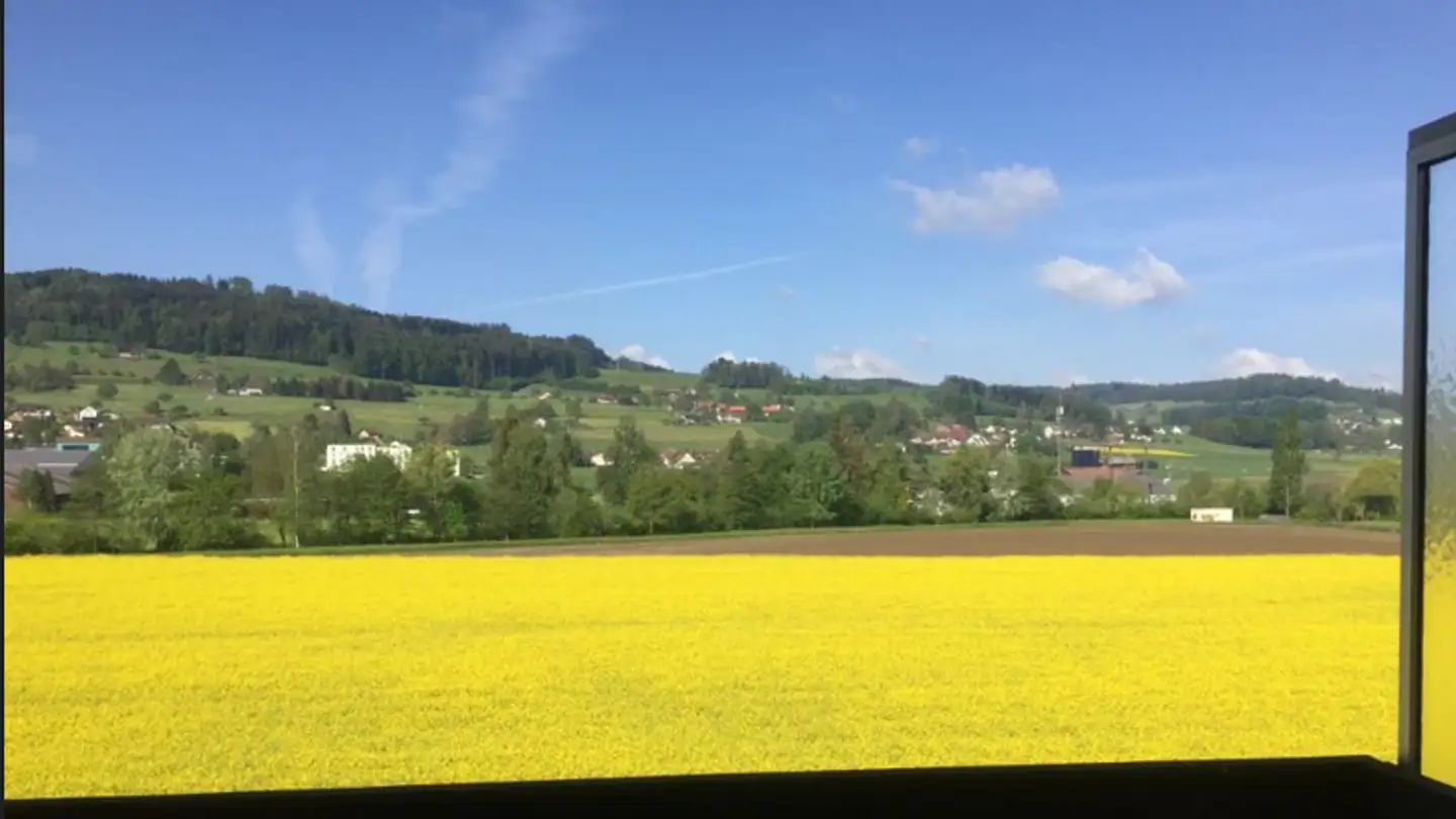 Attico in affitto - Dürrmattweg 3, 5734 Reinach AG - Foto 4