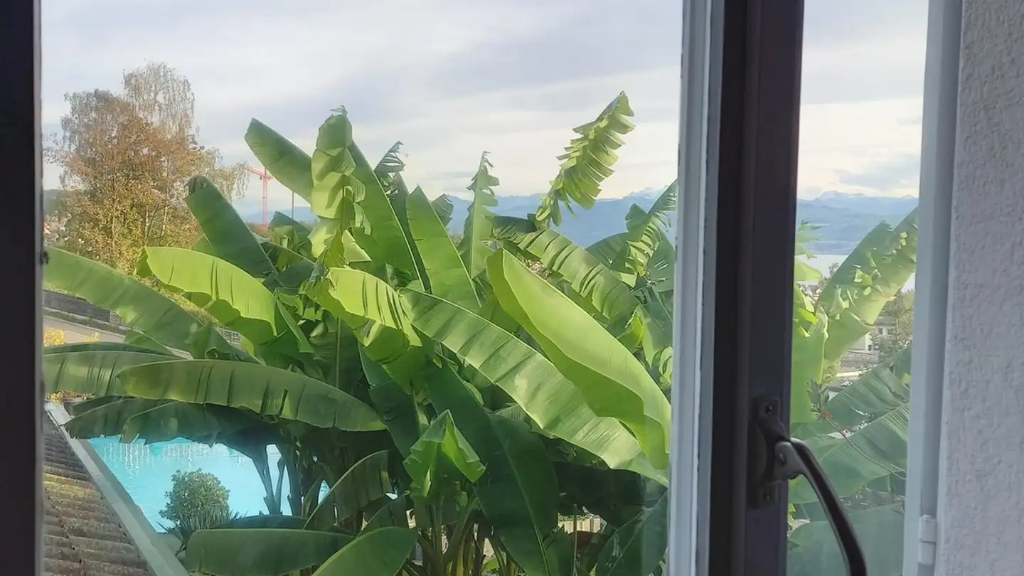 Stanza singola in affitto - 8706 Meilen - Photo 2