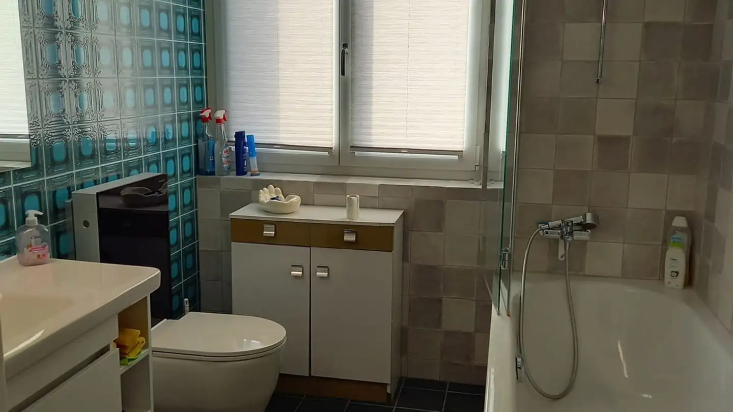 Stanza singola in affitto - 8706 Meilen - Photo 4