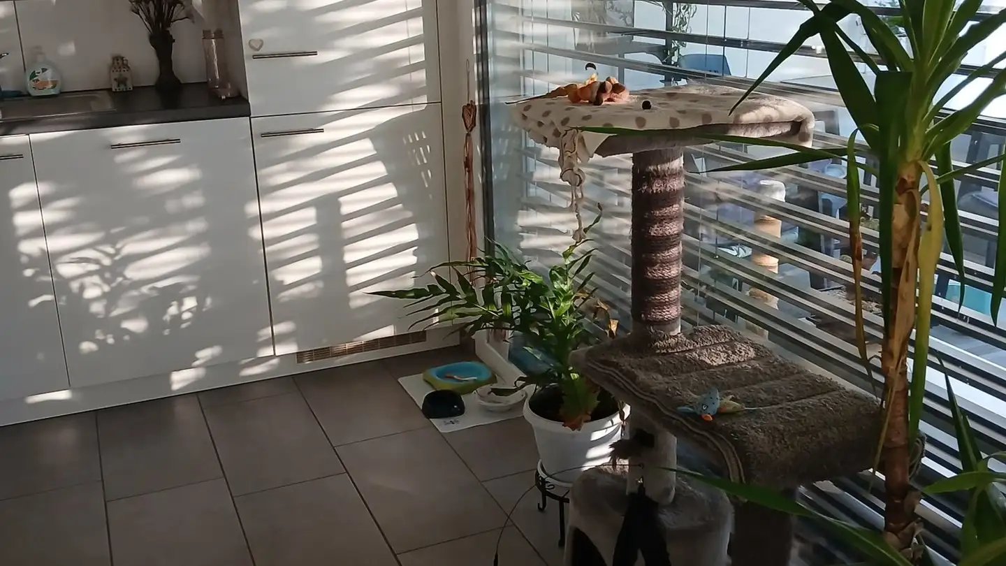 Appartamento in affitto - 1523 Granges-près-Marnand