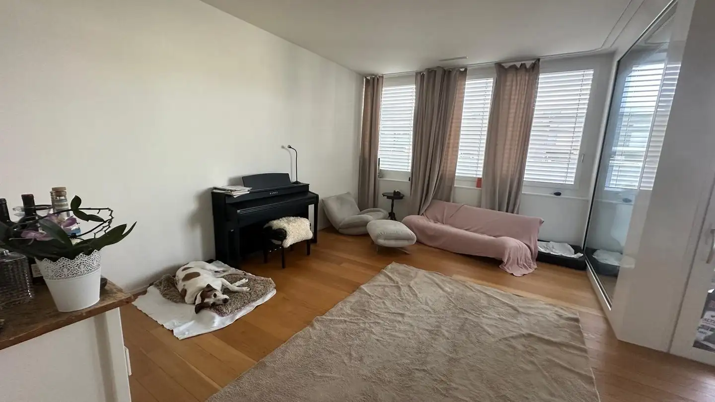 Wohnung mieten - Turbinenstrasse, 8400 Winterthur - Foto 3