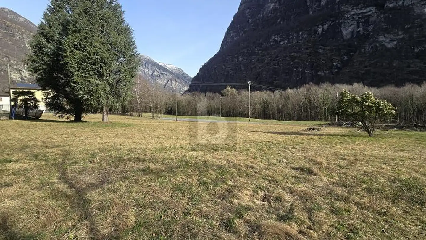 Constructible plot for sale - 6675 Cevio - Photo 4