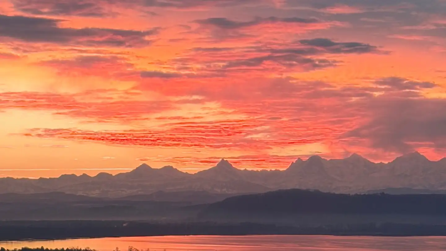 Wohnung mieten - 2068 Hauterive NE - Foto 3