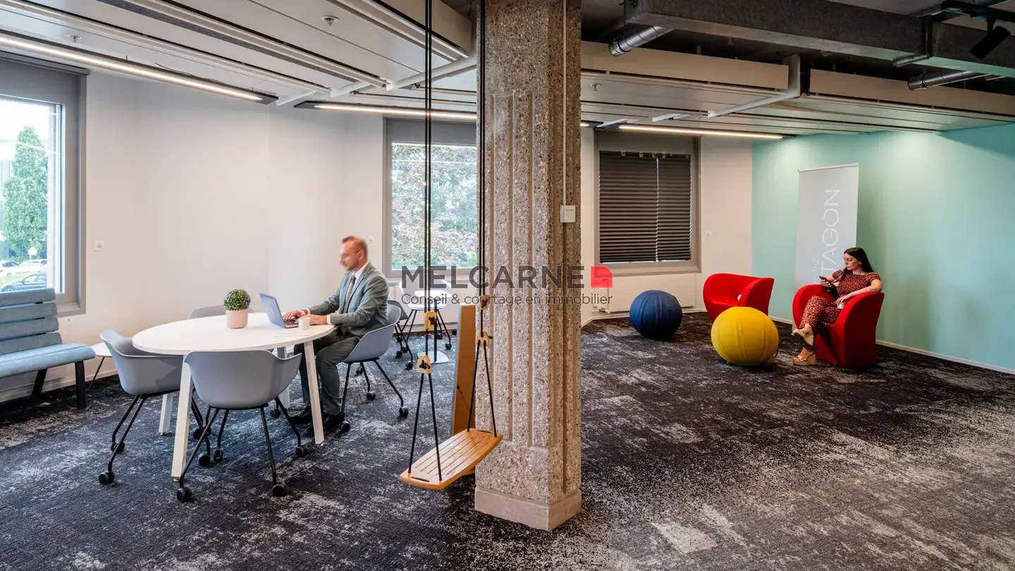Immeuble mixte à louer - Chemin Du Pavillon, 1218 Le Grand-Saconnex