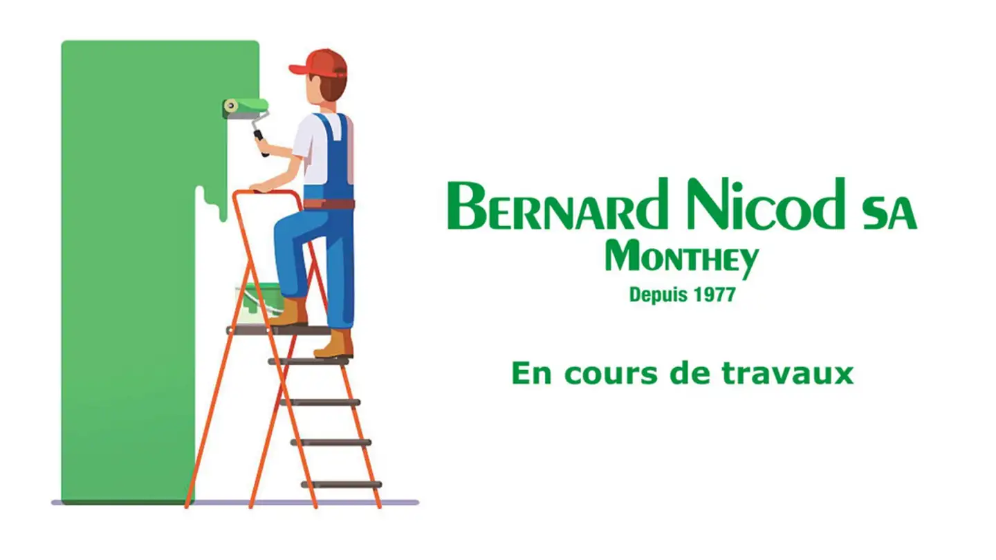 Appartement à louer - Rue De Lausanne 67, 1950 Sion