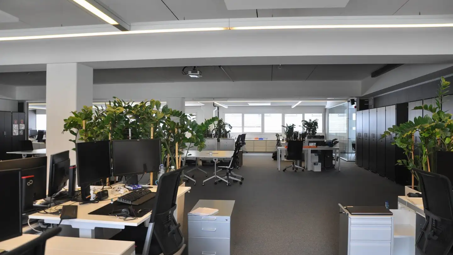 Industrieimmobilie mieten - 6930 Bedano - Foto 4