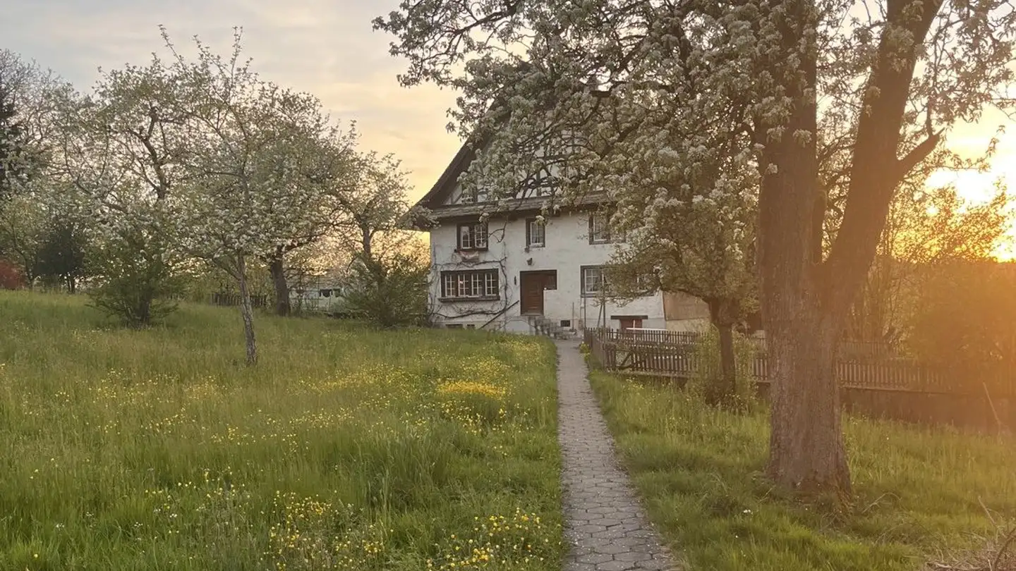 Stanza singola in affitto - Gisibach 1, 8820 Wädenswil - Foto 3