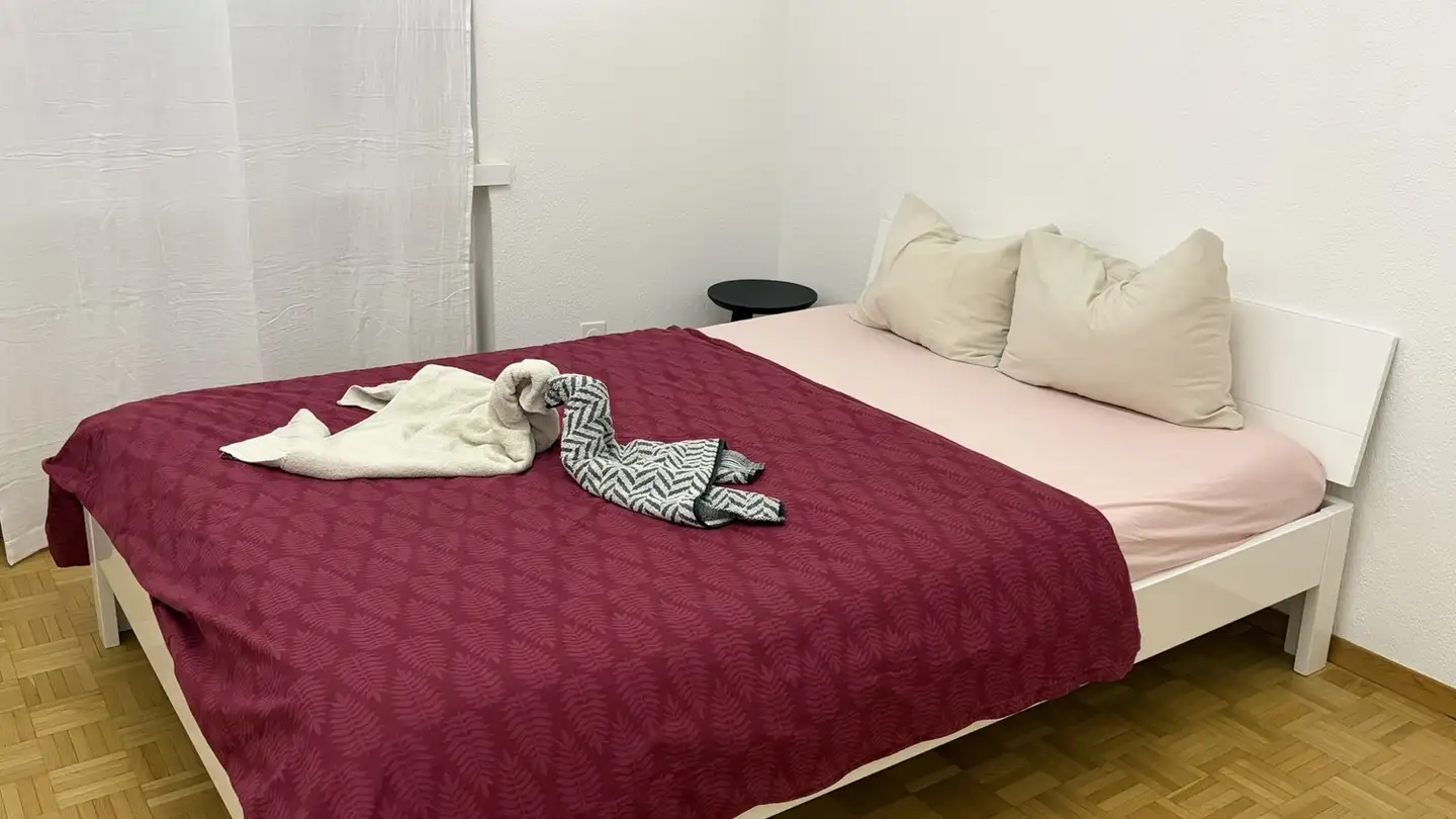 Möblierte Wohnung mieten - Hopfenstrasse 15, 8045 Zürich - Foto 3