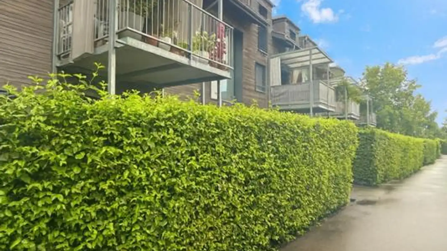 Appartamento in affitto - Schauburg 5a, 6331 Hünenberg