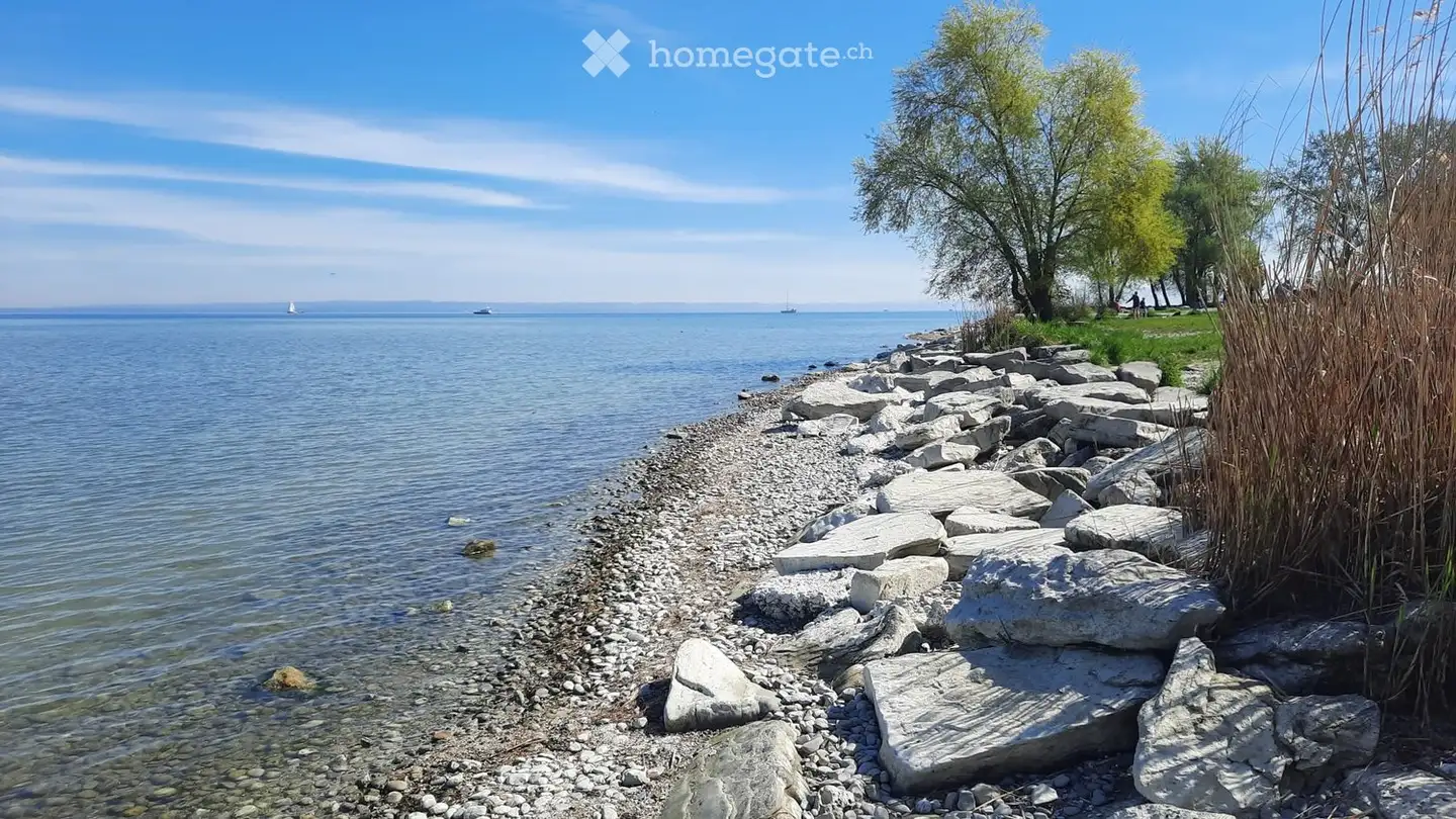 Single house for rent - Seemoosholzstrasse 6, 9320 Arbon - Photo 4