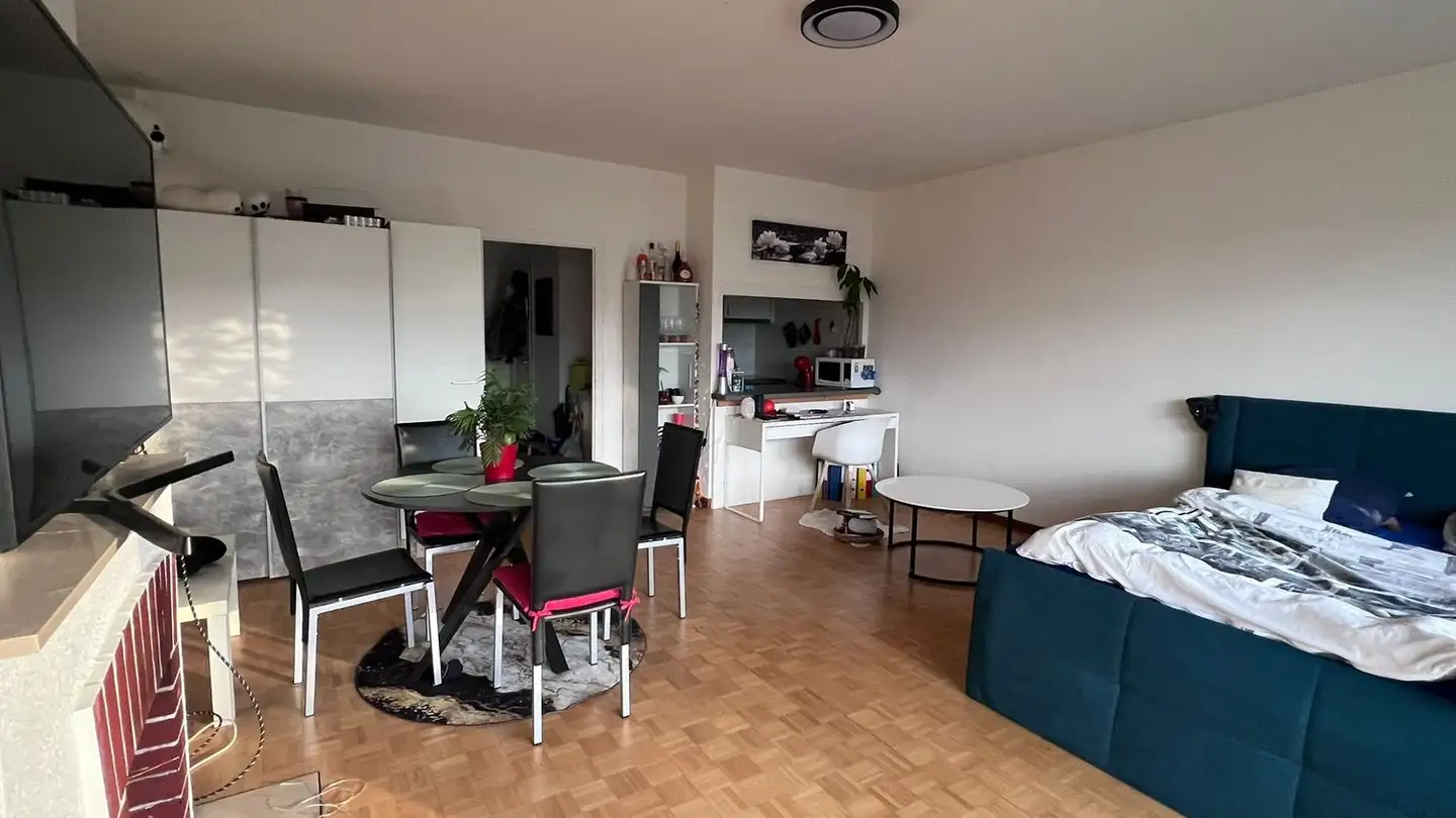 Appartamento in affitto - Rue Du Vidollet 19, 1202 Genève - Foto 2
