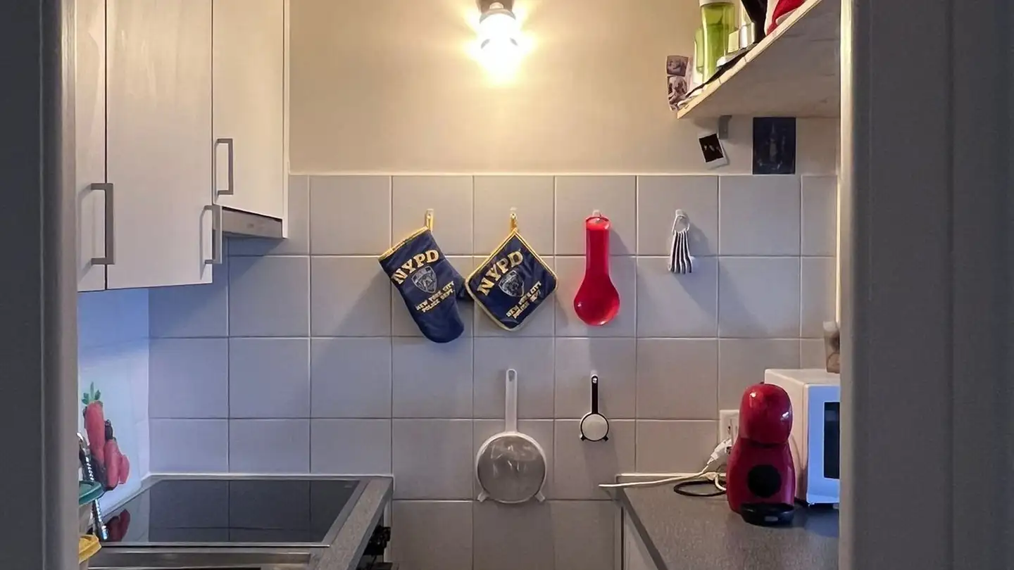Appartamento in affitto - Rue Du Vidollet 19, 1202 Genève - Foto 3