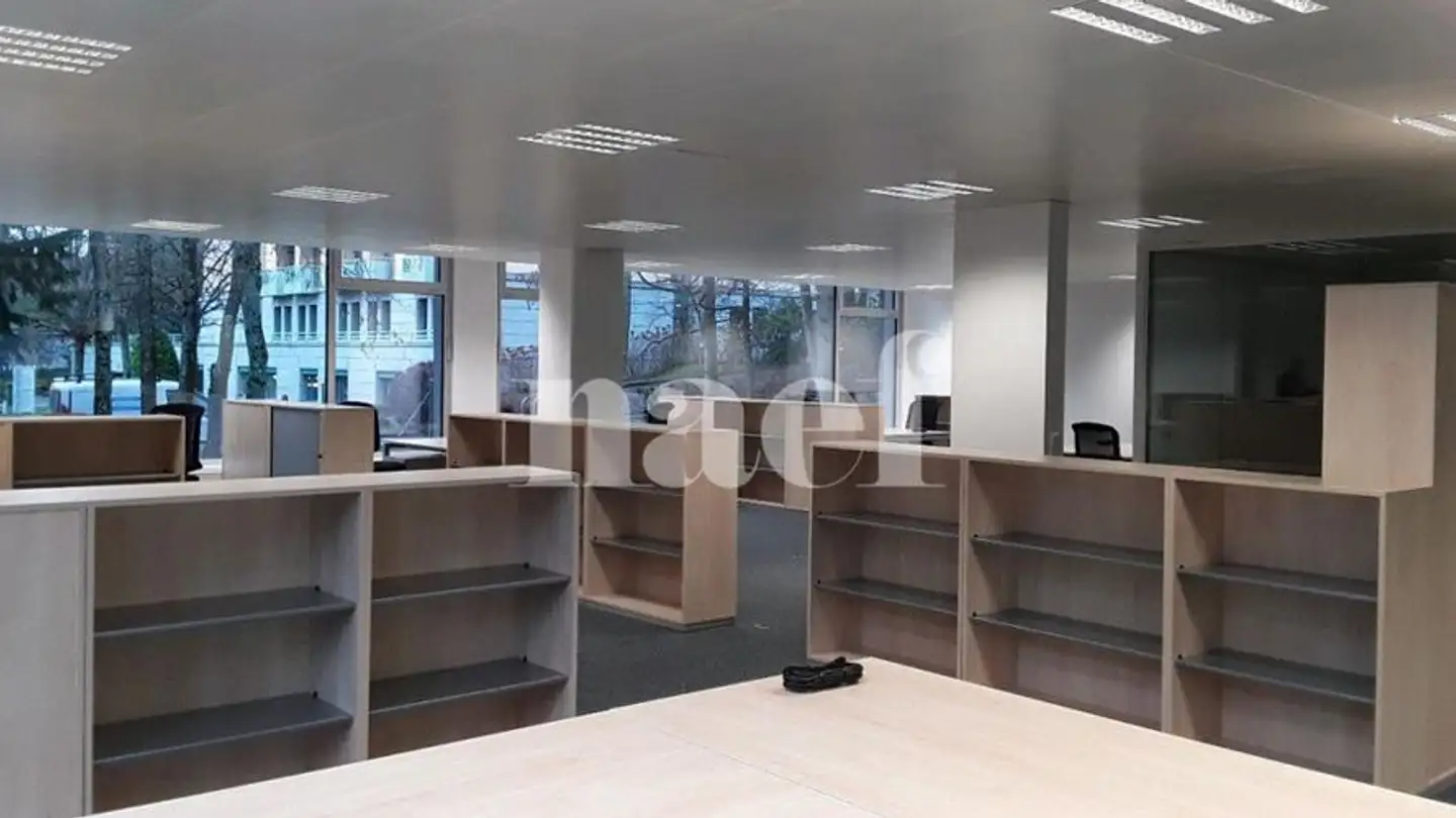 Spazio ufficio in affitto - Chemin Ami- Argand 9, 1290 Versoix - Foto 3