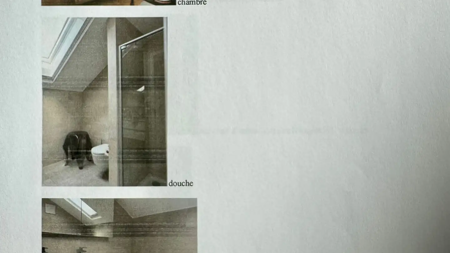 Penthouse mieten - Rue Du Château, 1787 Mur (Vully) FR - Foto 4