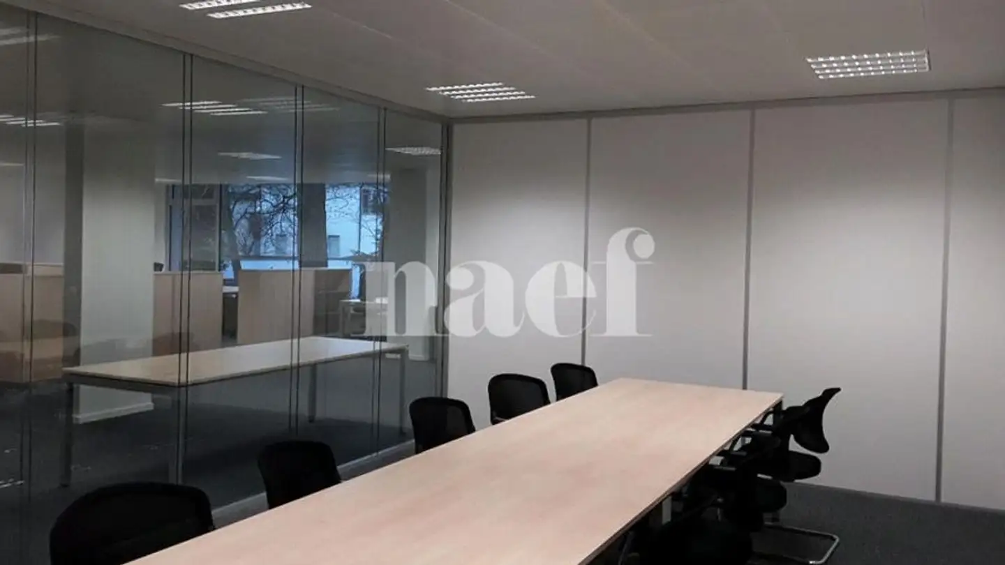 Spazio ufficio in affitto - Chemin Ami- Argand 9, 1290 Versoix - Foto 4