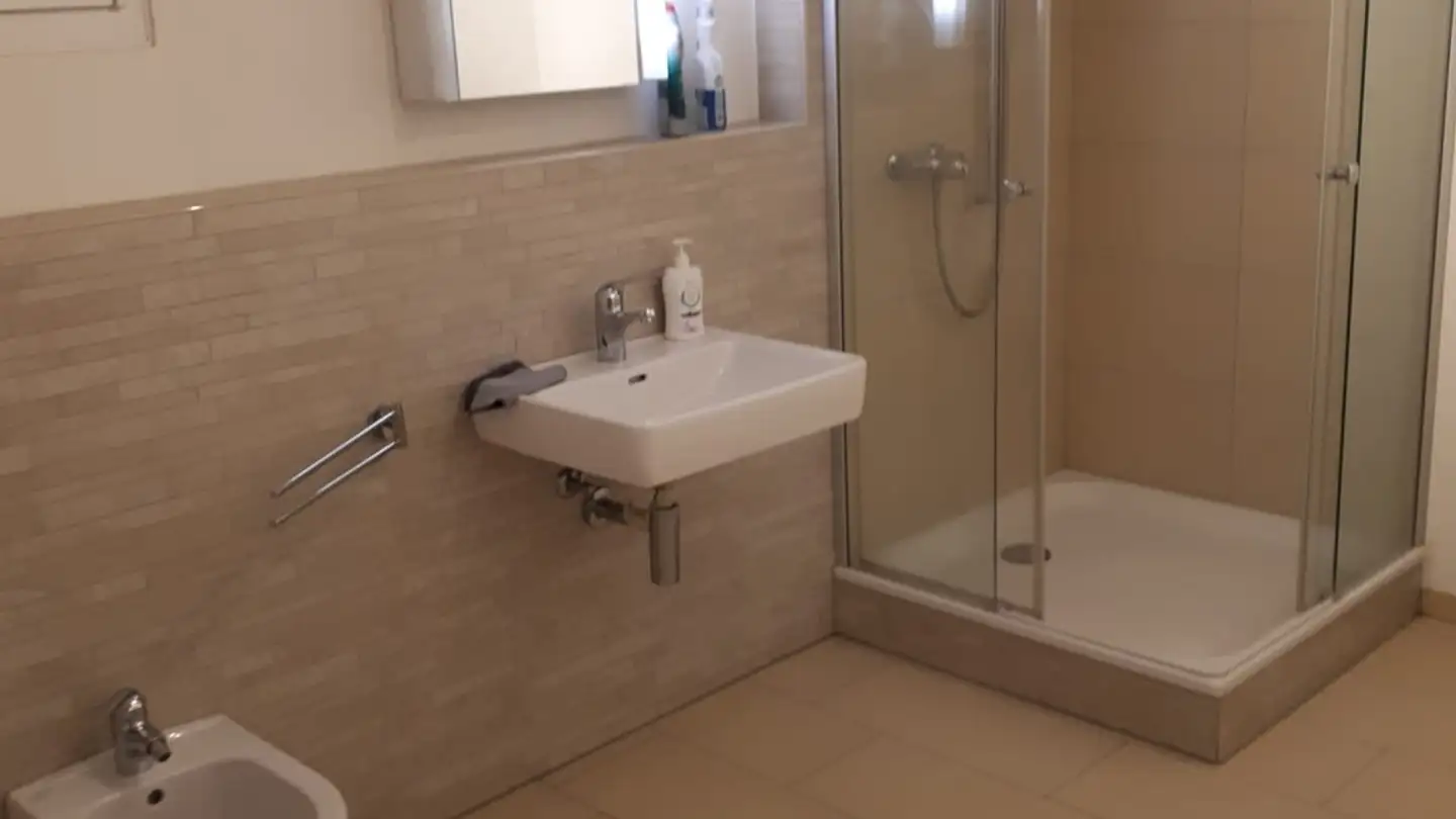 Appartamento in affitto - Hürliweidallee 7, 6048 Horw - Photo 3