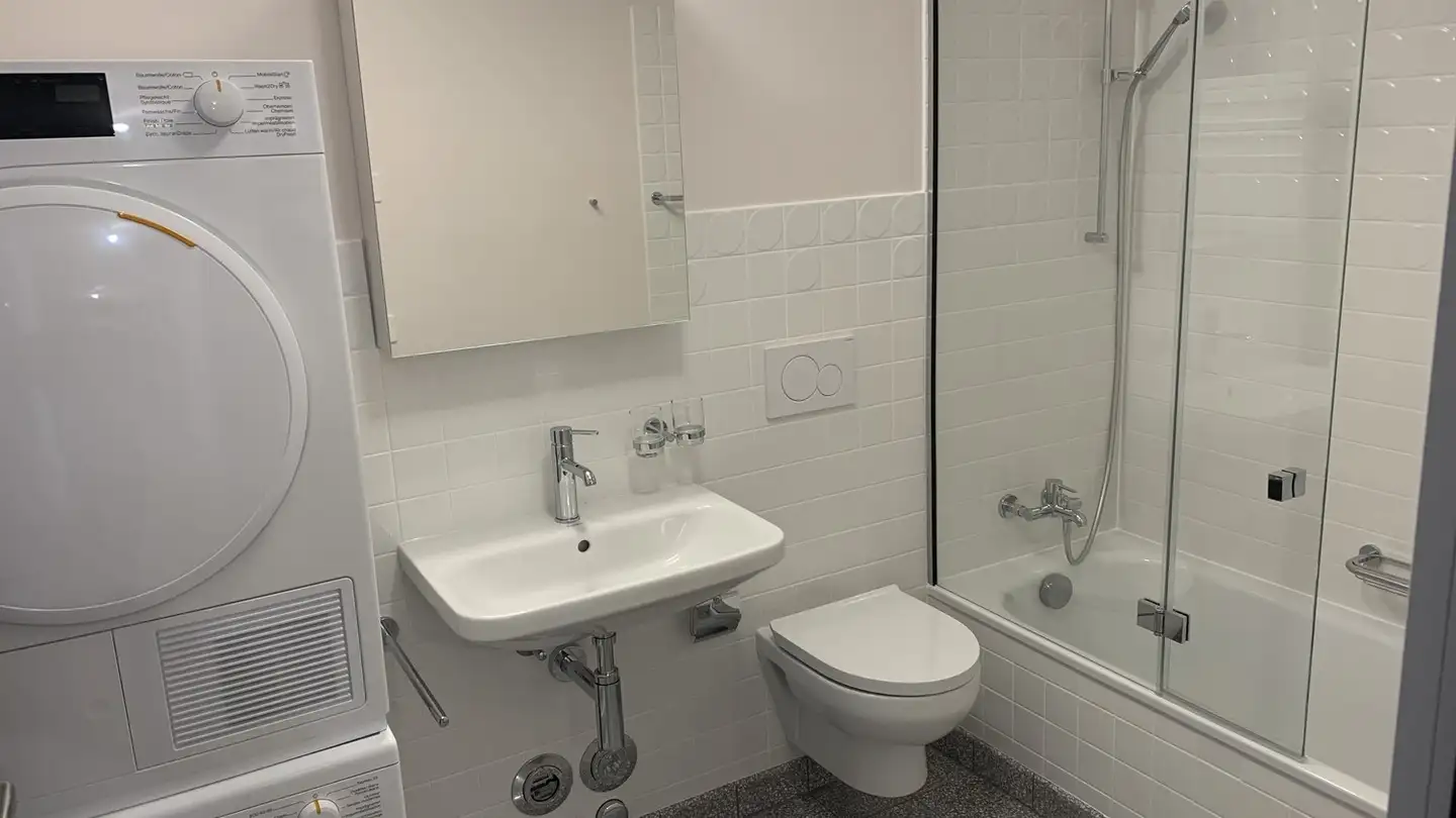 Appartamento in affitto - Rue Du Vieux-Collège 3, 1204 Genève