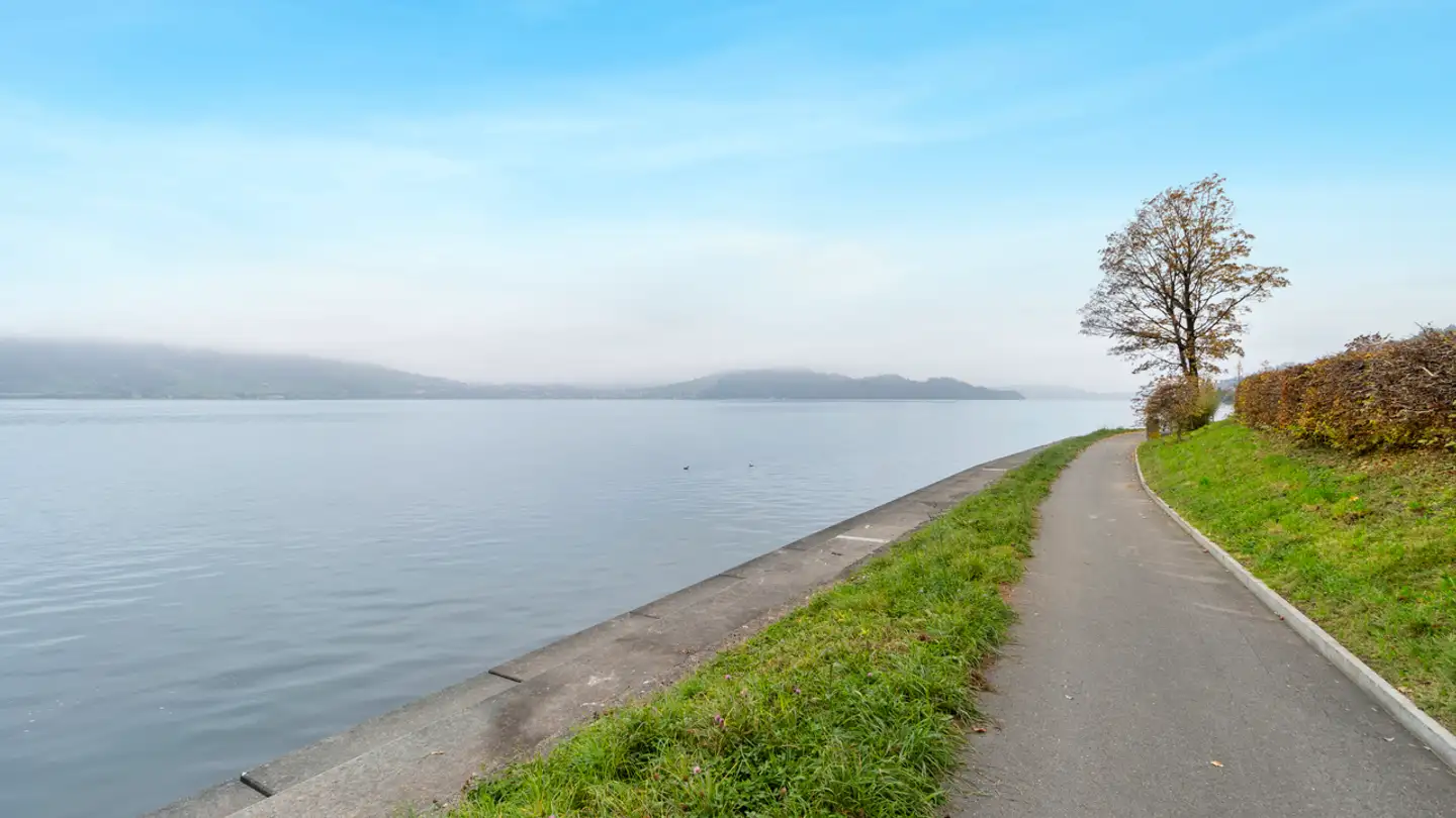 Maison individuelle à vendre - 6318 Walchwil - Photo 3