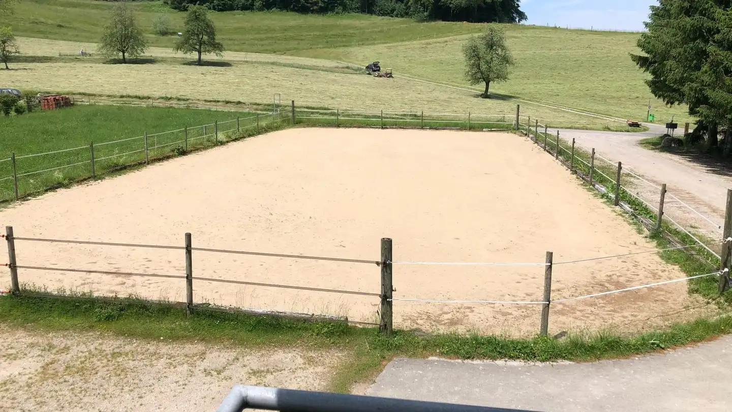 Appartamento in affitto - 8494 Bauma