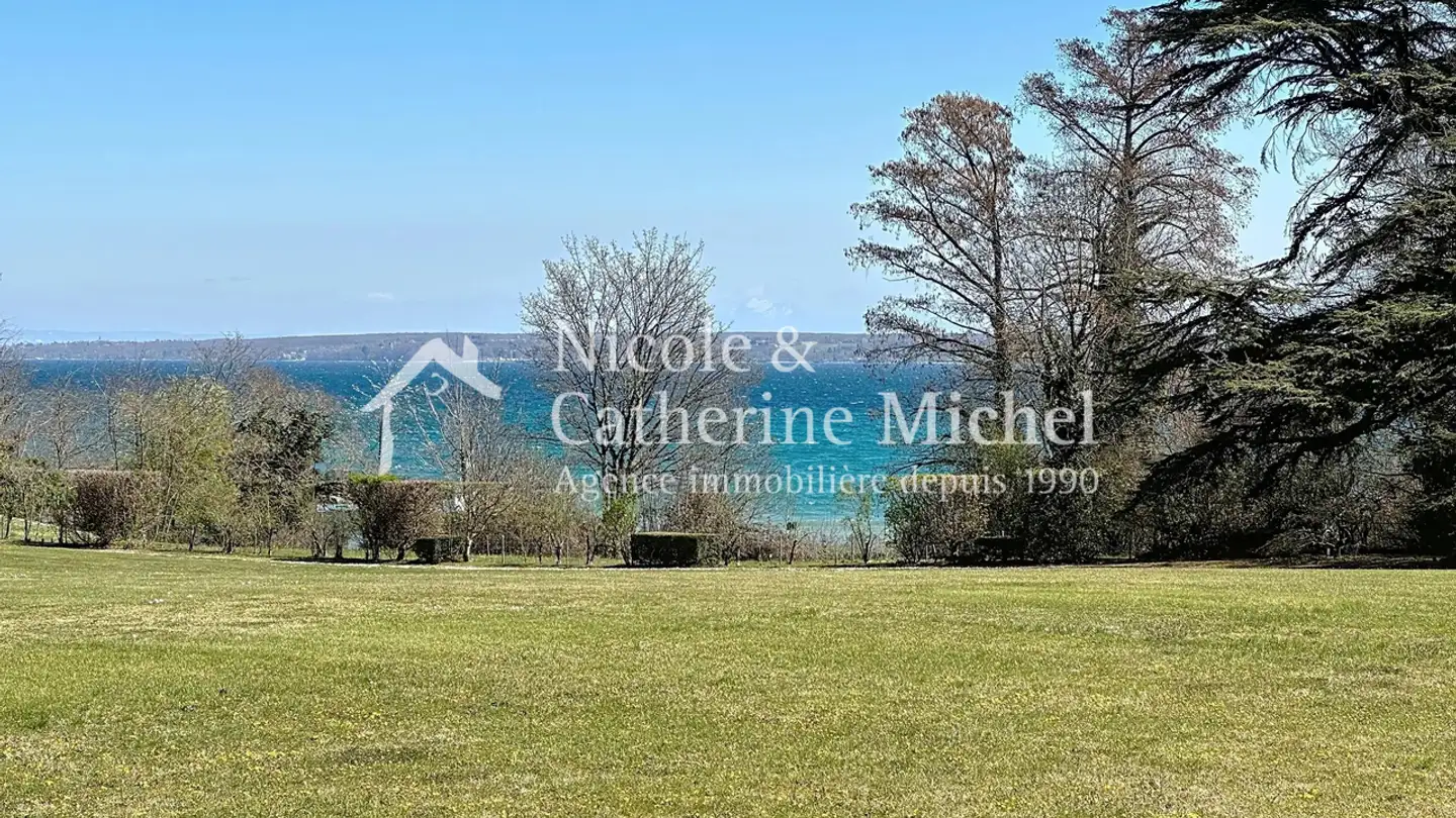 Attique à vendre - Chemin Du Lac, 1290 Versoix - Photo 2