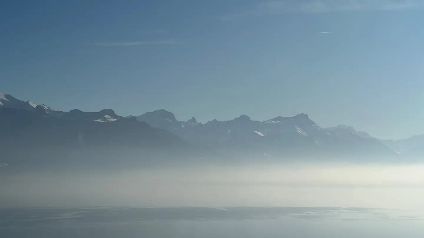 Single room for rent - 1071 St-Saphorin (Lavaux)