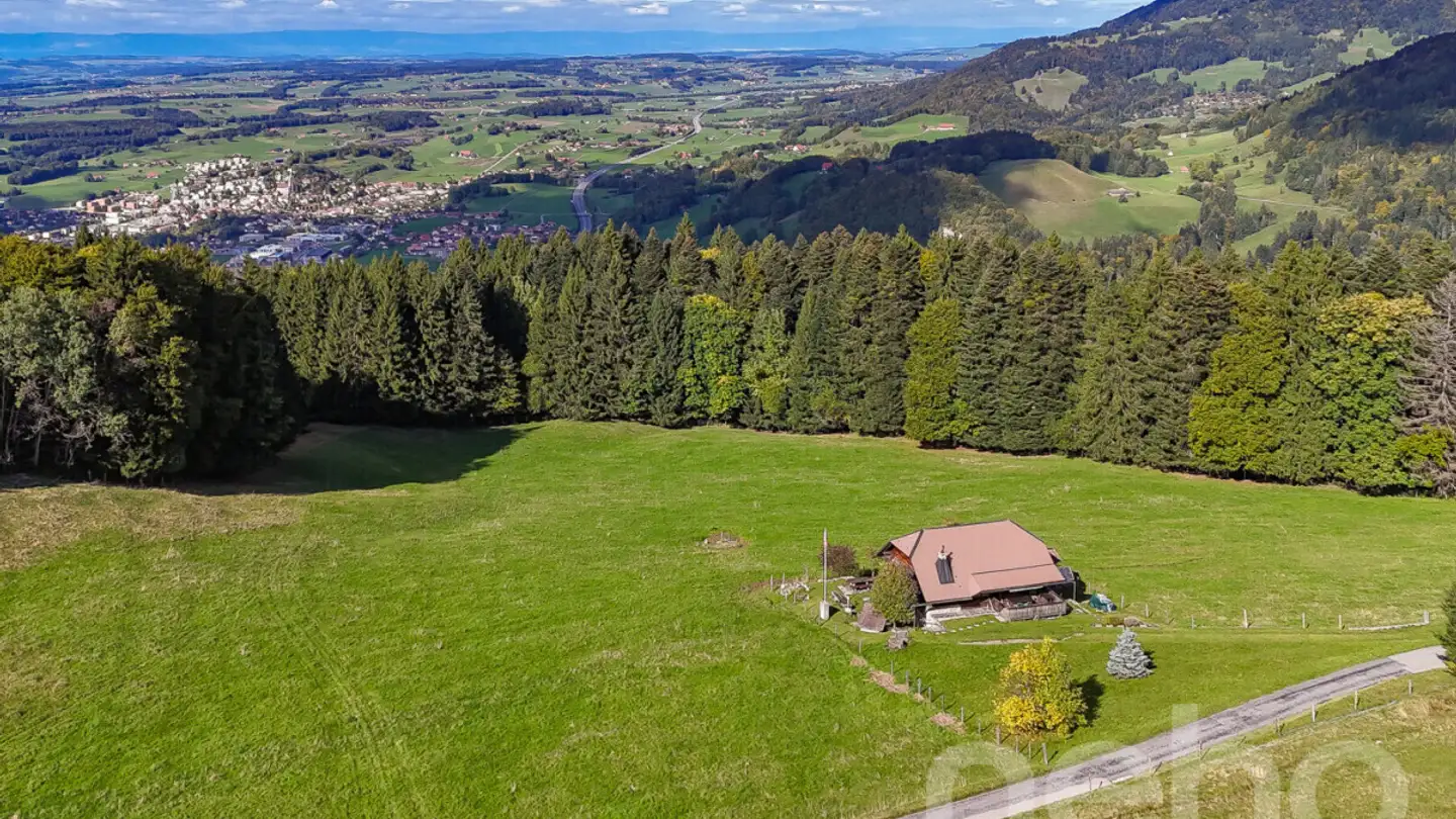 Einfamilienhaus kaufen - Chemin De La Chiésaz, 1806 St-Légier-La Chiésaz