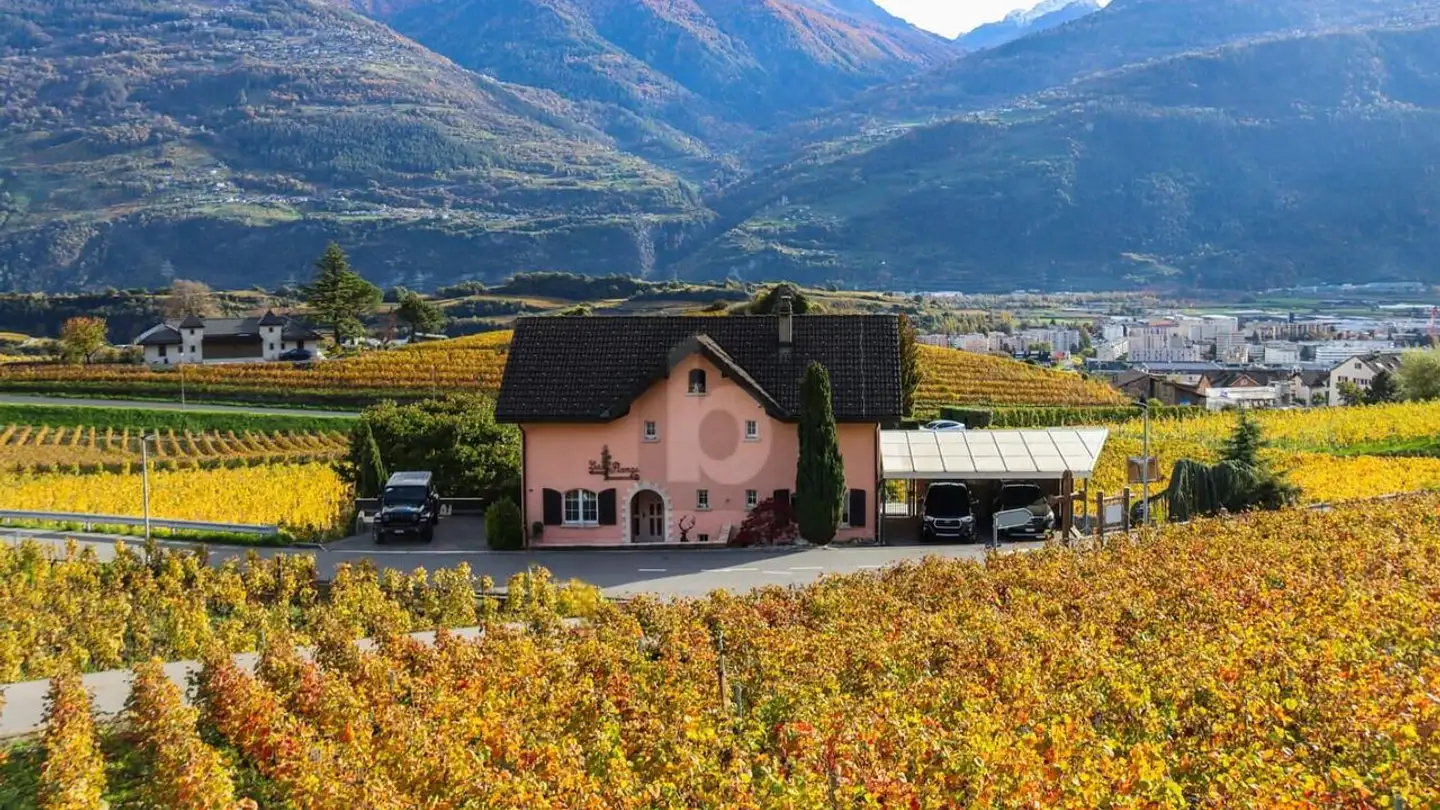 Single house for sale - 1964 Conthey