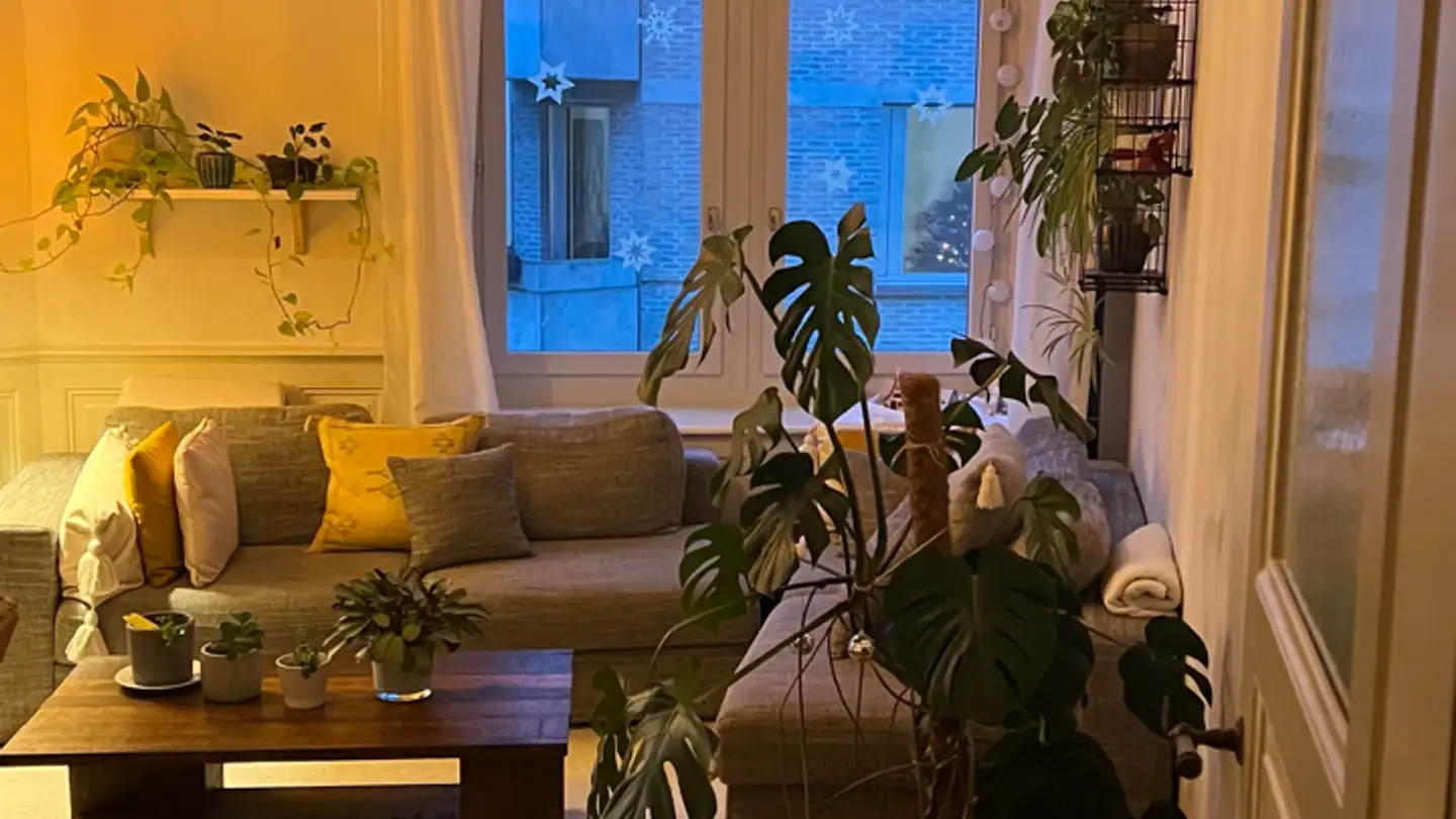 Zimmer mieten - 8004 Zürich