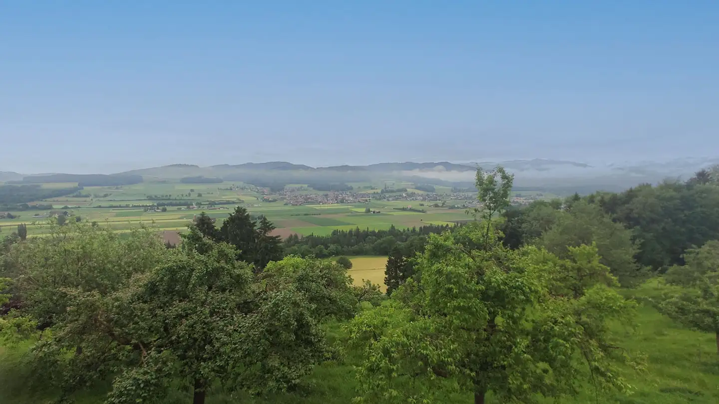 Appartamento in affitto - Schützenfahrstrasse 24, 3115 Gerzensee - Foto 3