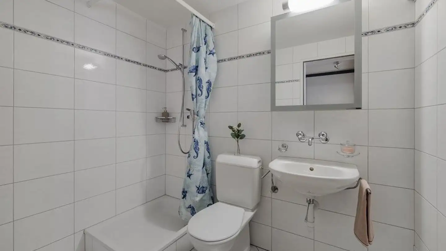 Appartamento in affitto - Hofjüngerstrasse 7, 9630 Wattwil - Foto 3