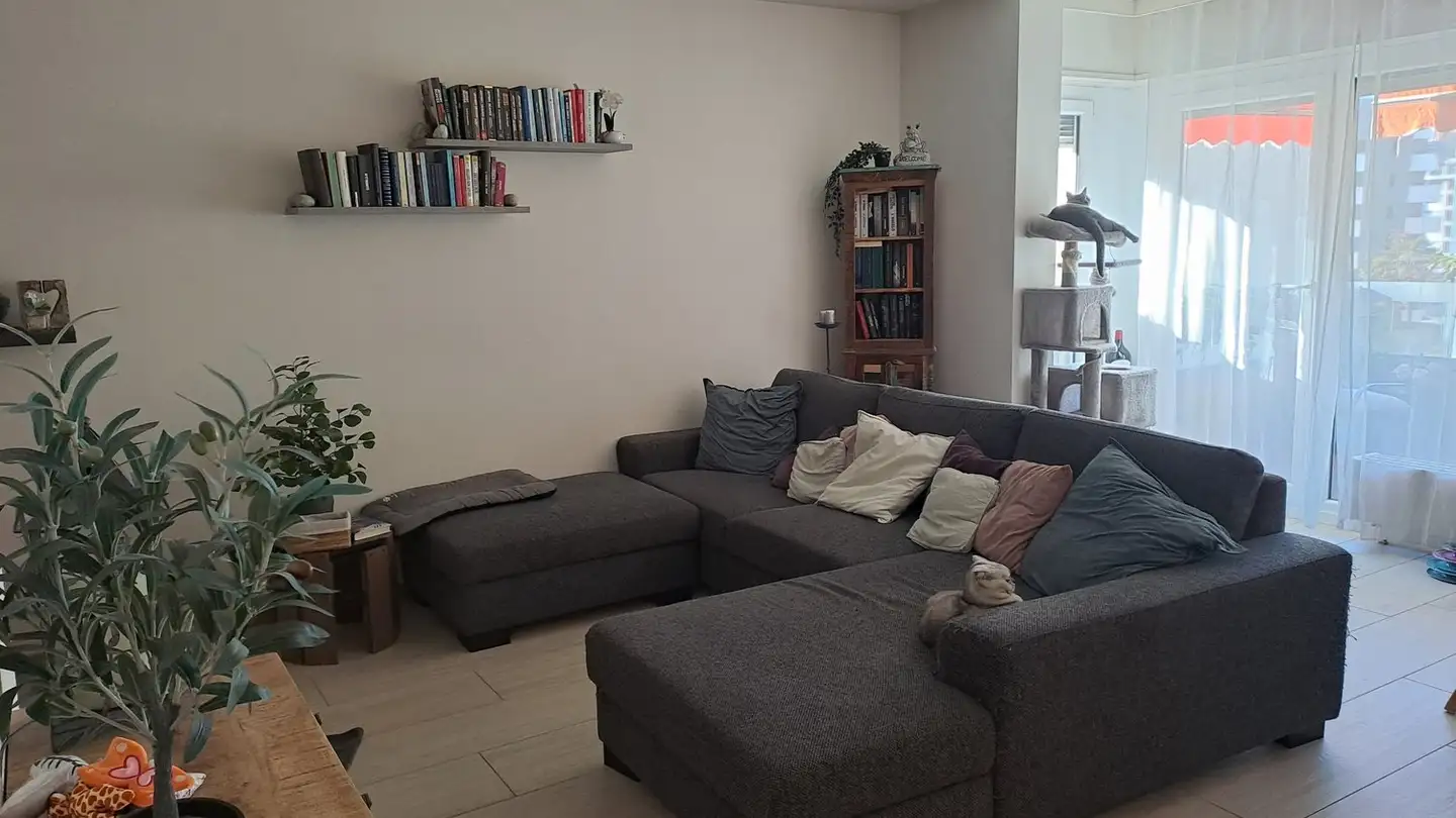 Appartamento in affitto - 6963 Pregassona