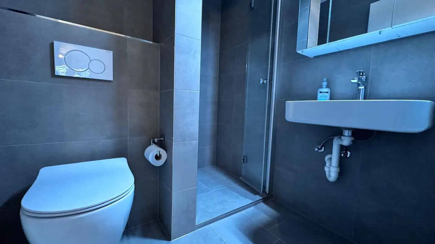 Appartamento in vendita - Neuwillerstrasse, 4153 Reinach BL - Foto 2