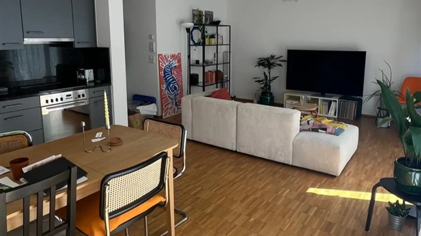 Wohnung mieten - 8055 Zürich