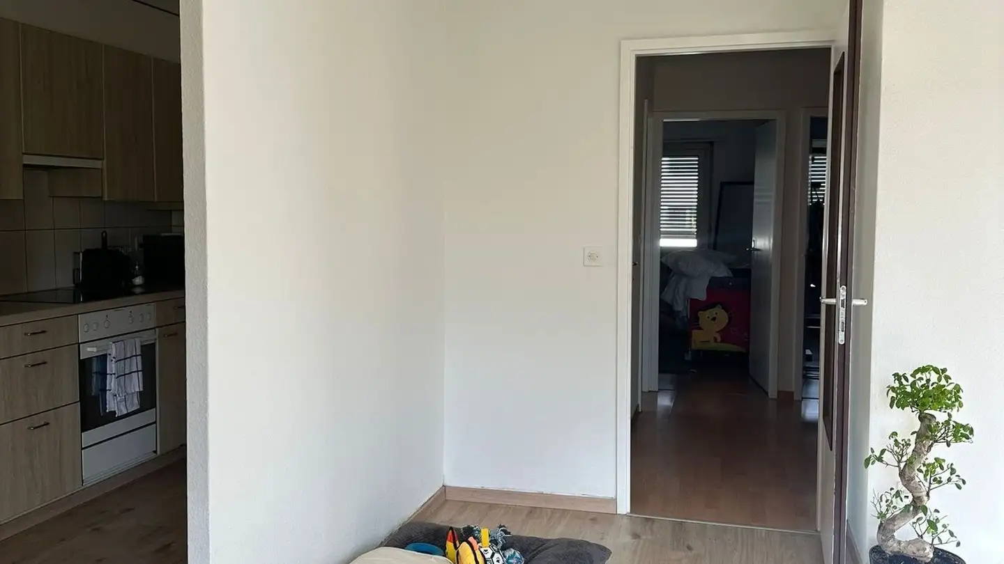 Apartment for rent - Untere Dorfstrasse 48, 8964 Rudolfstetten - Photo 3